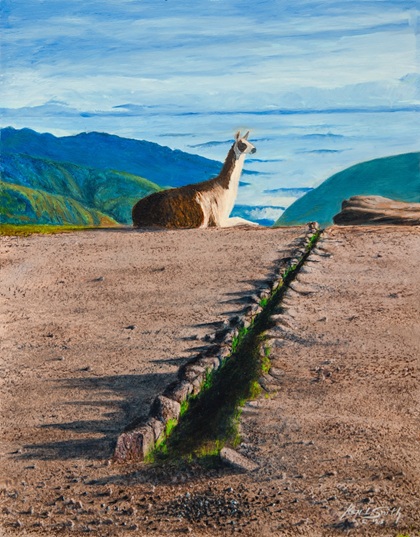 Leisure Llama
