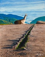 Leisure Llama